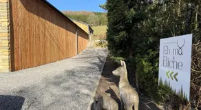 Eh ma biche - Image 1