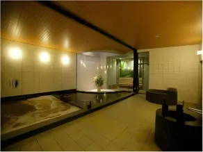 Shin-Yokohama Fuji View Hotel Spa & Residence - Image 4