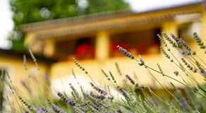 Agriturismo Kelle Terre - Image 5