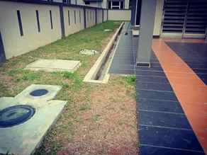 Thibas Homestay Sungai Pelek - Image 5