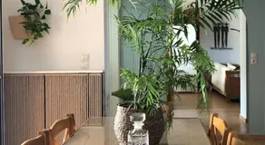 Fillosia - Image 3