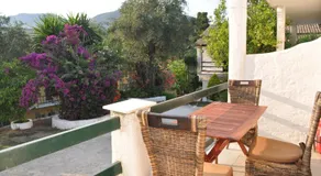 Kahlua - Image 5