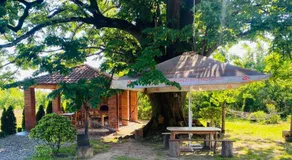 Guesthouse Kamelia - Image 3