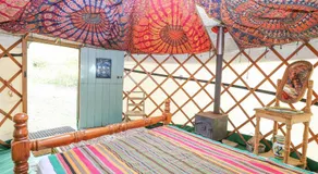 Brandon House Farm Yurt - Image 2