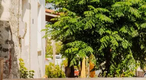 KOUL HOUSE - Image 3