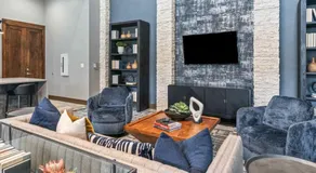 Resort Style Apartment/Home - The Woodlands - Image 5