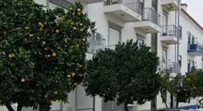 Casa da Rainha Santa - Image 3