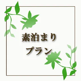 Ryokan Sagami - Image 4