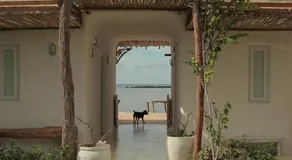 Chiu Chiu Resort Đảo Phú Quý - Image 4