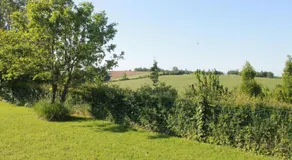 La Naillousaine - Image 4