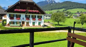 Ferienhof Brunbacher Wolfgangsee - Image 5