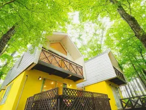 Mimoza Retreat NASU - Image 5
