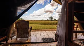 Zebra kemangore Bush Tented Lodge - Image 5