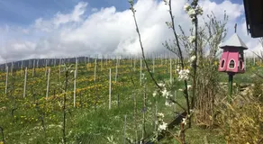 Les Rossets - Image 5