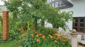 Atelierwohnung ELLE - Image 3