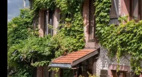 Gîte de montagne -Bellefosse Alsace - Image 5