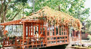 JE T'AIME VILLA - Khu nghỉ dưỡng nhà vườn nằm giữa thiên nhiên bao la hoa cỏ - Image 3