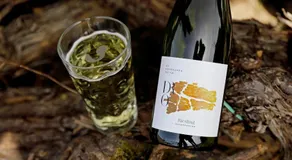 Gästezimmer Weingut Dr Oberhofer - Image 4