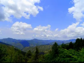 The Hideaway Chail - Image 3
