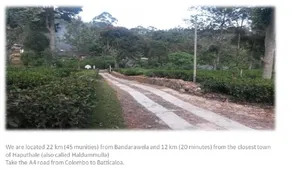 Royal Eco Resort - Image 4