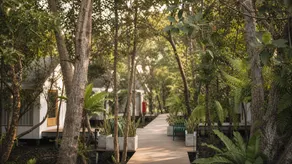 rimbaymangroveresort - Image 5