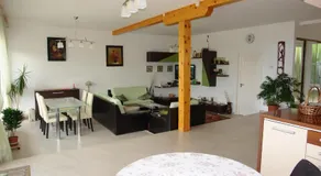 Casa Tomson, free parking, ciubăr, piscină în natura - Image 5