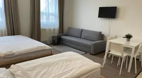 Hotel Koruna - Image 2