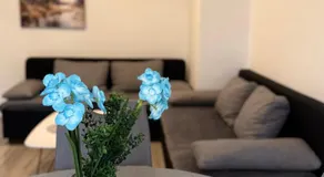 Hugo s home, apartman blizu bazena i bolnice - Image 4