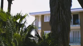 The Roof Garden - Bed&Breakfast - Image 2