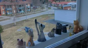 Rauhallinen huoneisto Joensuun lähellä - Image 5