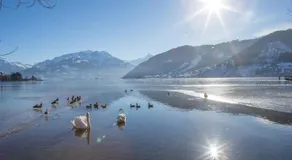Dahoam by Sarina - Village Appartements incl Zell am See - Kaprun Summercard - Image 5