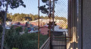 Bosques del Tabo - Image 5