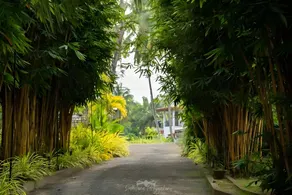 Canbo Hotel - Image 3