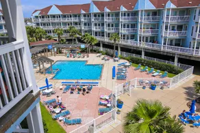 Seascape 1110-Parrot Paradise - Image 4