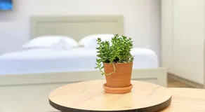 Flors Apartments - Image 1
