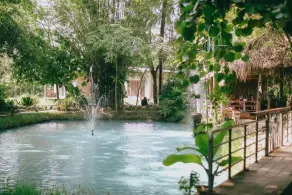 The Garden Echo - Image 5
