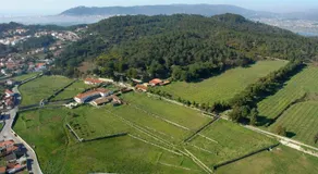Paco d'Anha - Image 3
