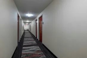 Red Roof Inn PLUS Boston - Mansfield - Foxboro - Image 4