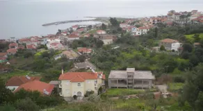 Petalidi Gedigio - Image 4