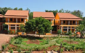 Paradise Auro Jungle Resort - Image 3
