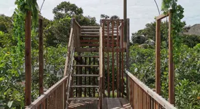 Orchard Villa Melaka - Image 3