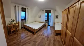 Janicek - Image 2