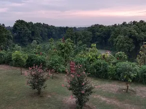 AAR Resort & Spa - Image 5