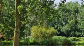 The Duck - Free Fishing, pets welcome - static caravan in Clare, Suffolk - Image 4