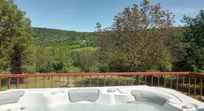 Borovilla - Image 3