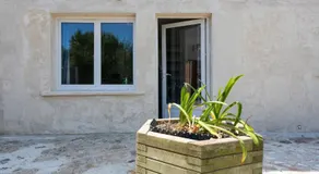 Glycine - Image 4