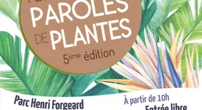 Chambre du Toucan - Image 4