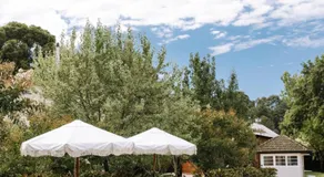 The Benev - Wellness Accommodation - Image 3