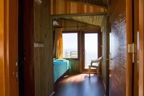 TREE HOUSES - Image 4