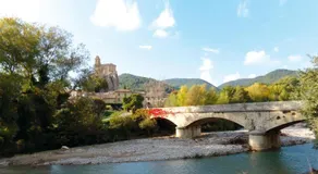 La clairière - Image 5